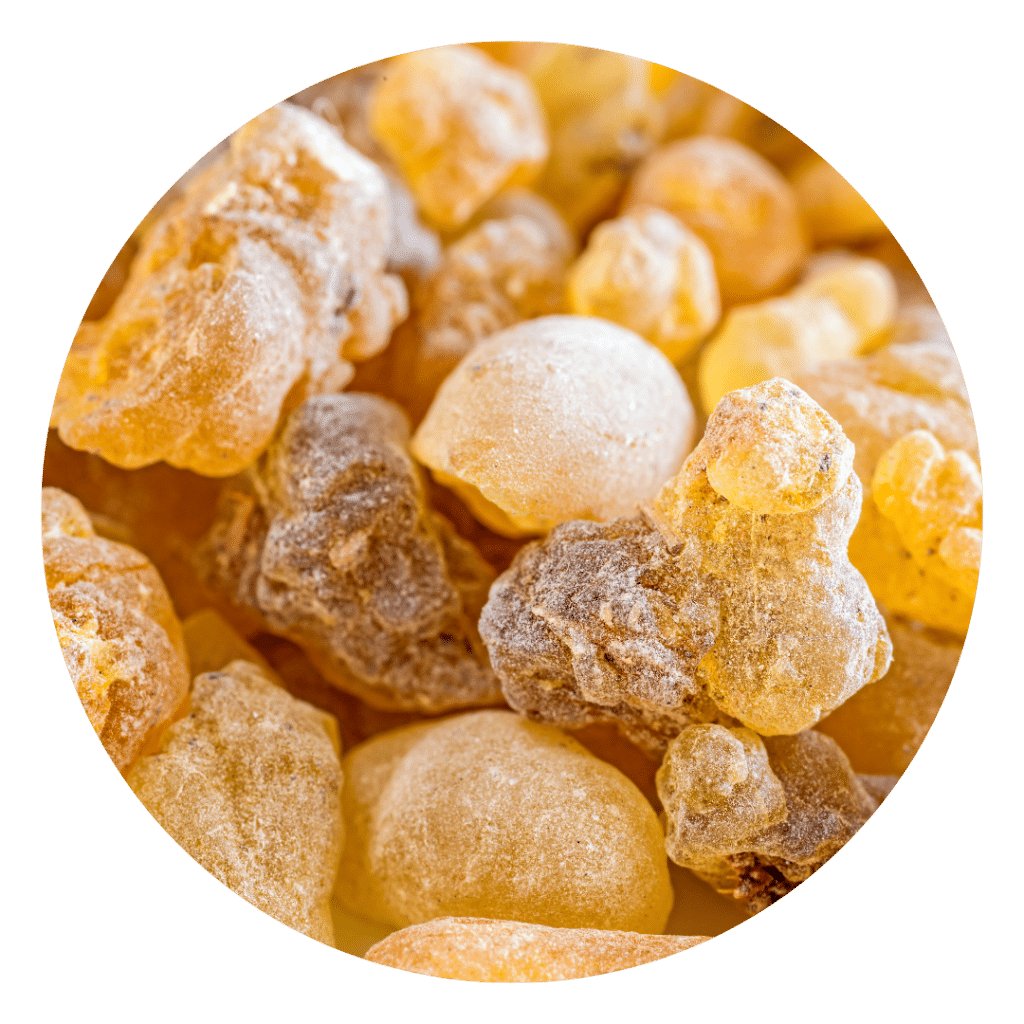 Frankincense Resin used in tallow made for skin rash relief and PUPPs remedy