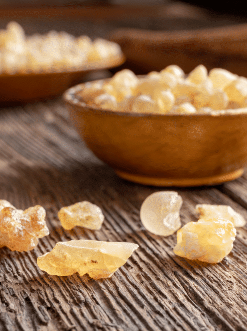 Raw Frankincense resin used in our 2 oz Grounded Tallow Balm made with Grass-Fed Beef Tallow and Organic Emu Oil for PUPPS rash relief