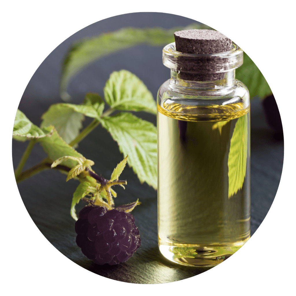 Black Raspberry Seed Oil