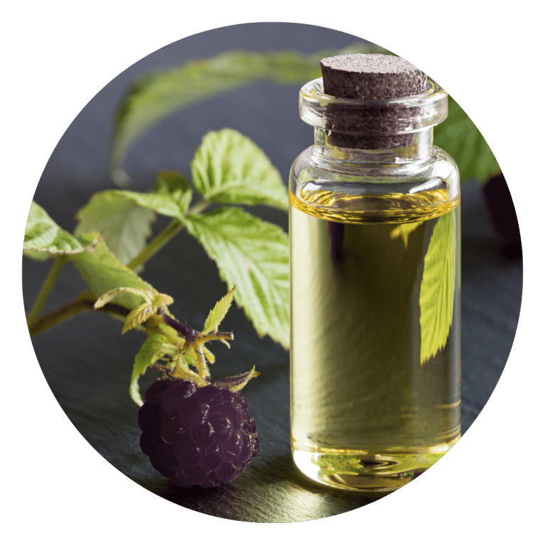 Black Raspberry Seed Oil
