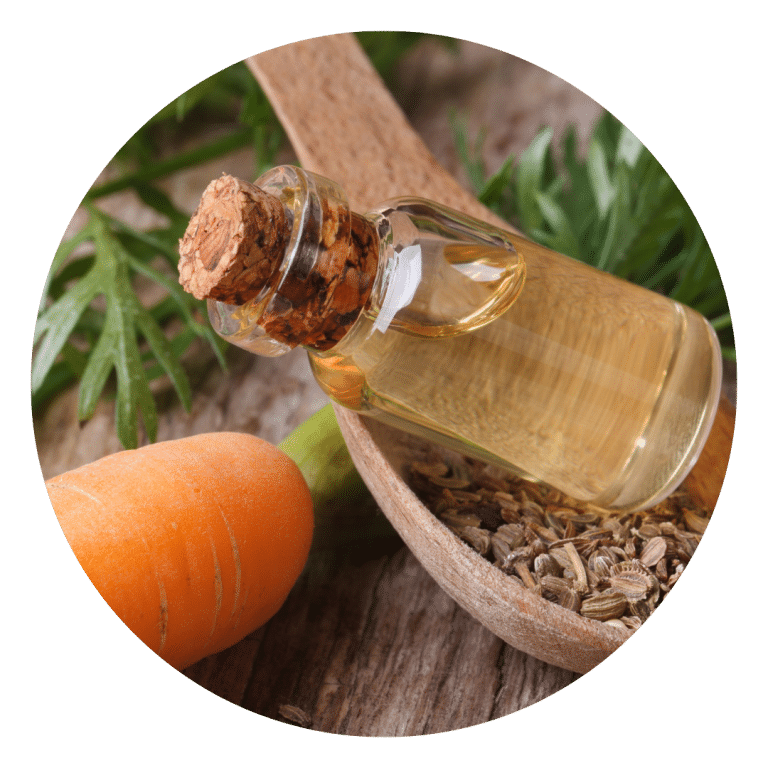 Carrot Seed Oil
