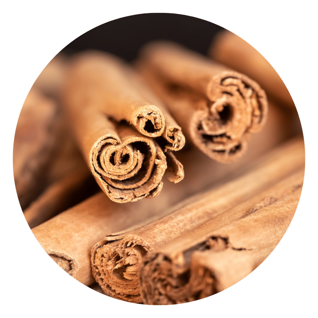 Ceylon Cinnamon