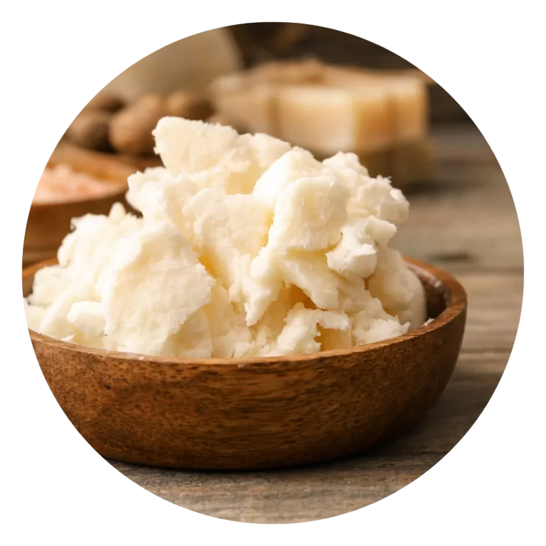 Nilotica Shea Butter