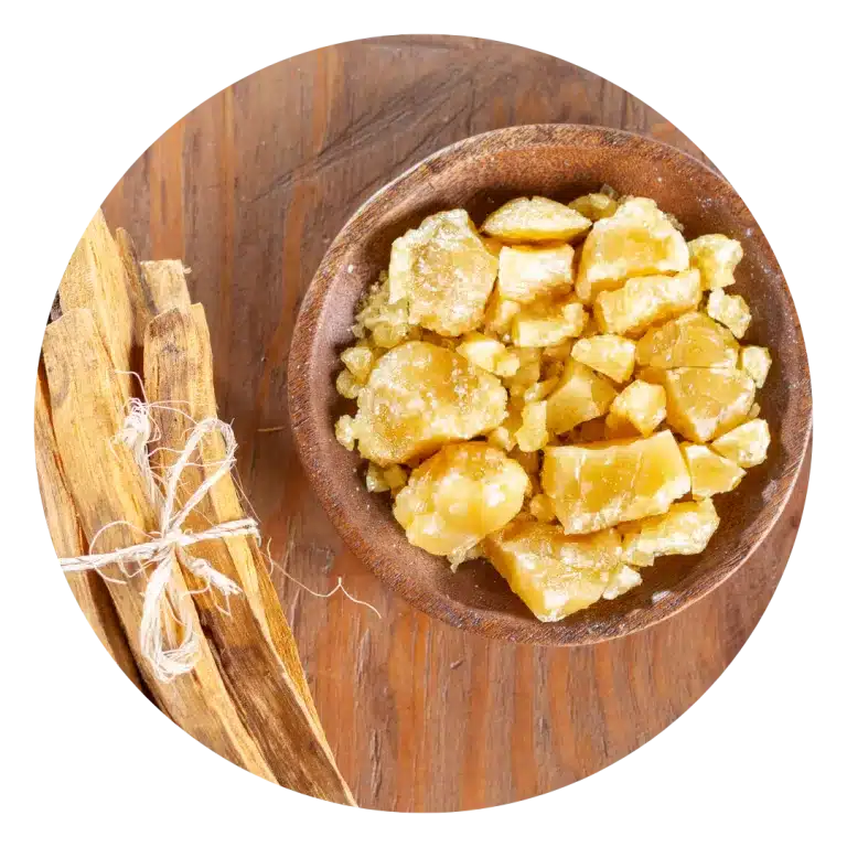 Palo Santo Resin