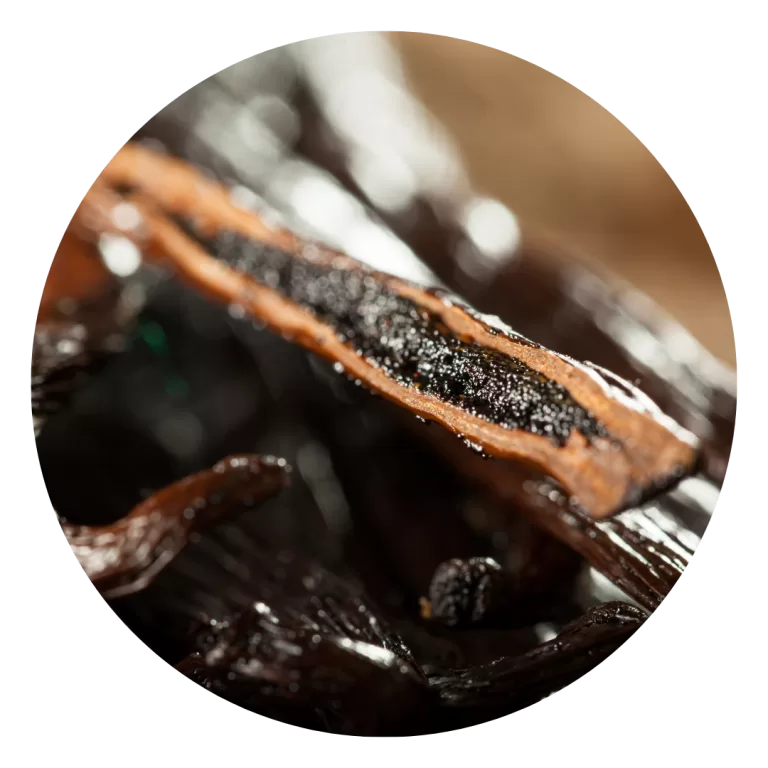 Vanilla Beans