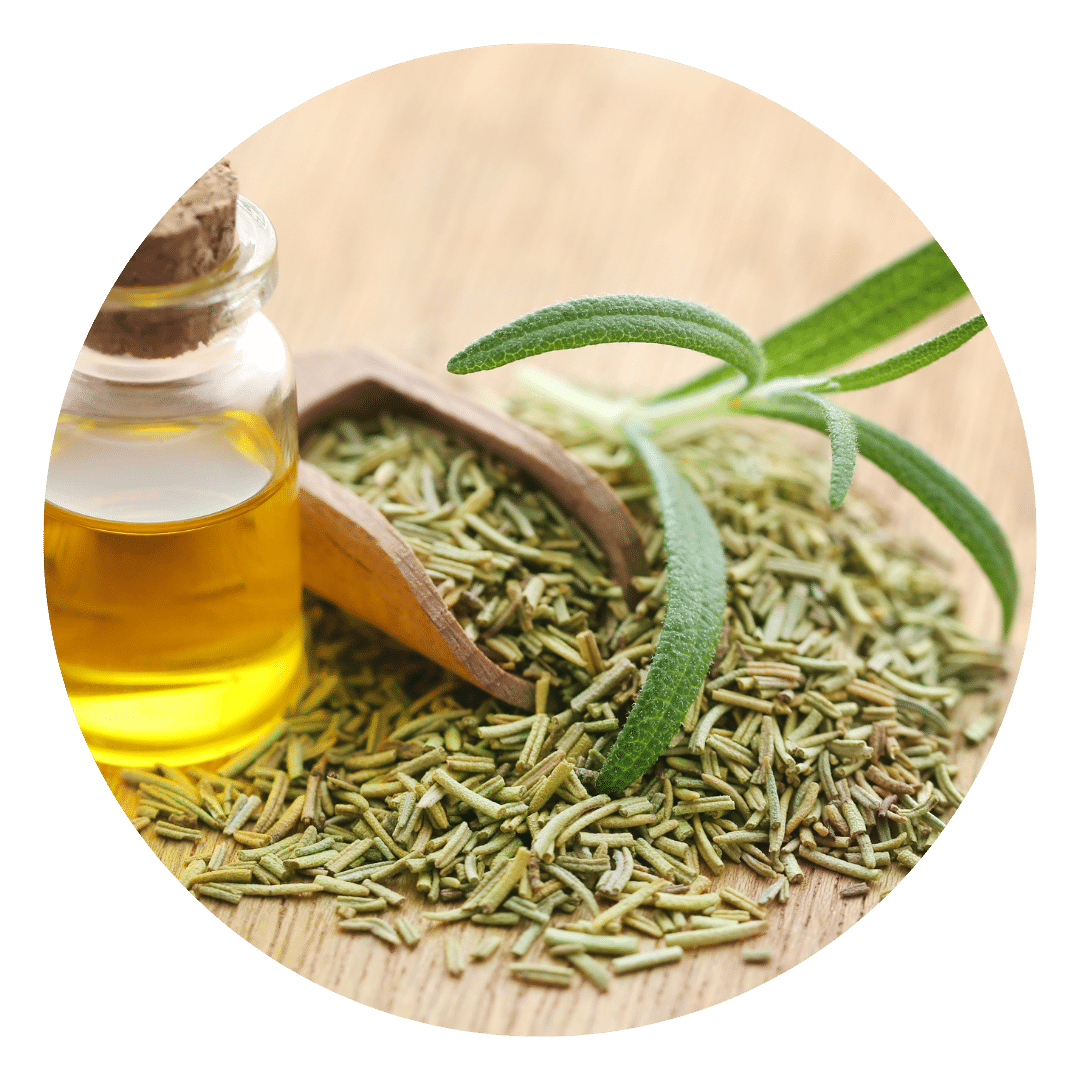 Ingredients 39 Rosmarinus Officinalis Rosemary Leaf